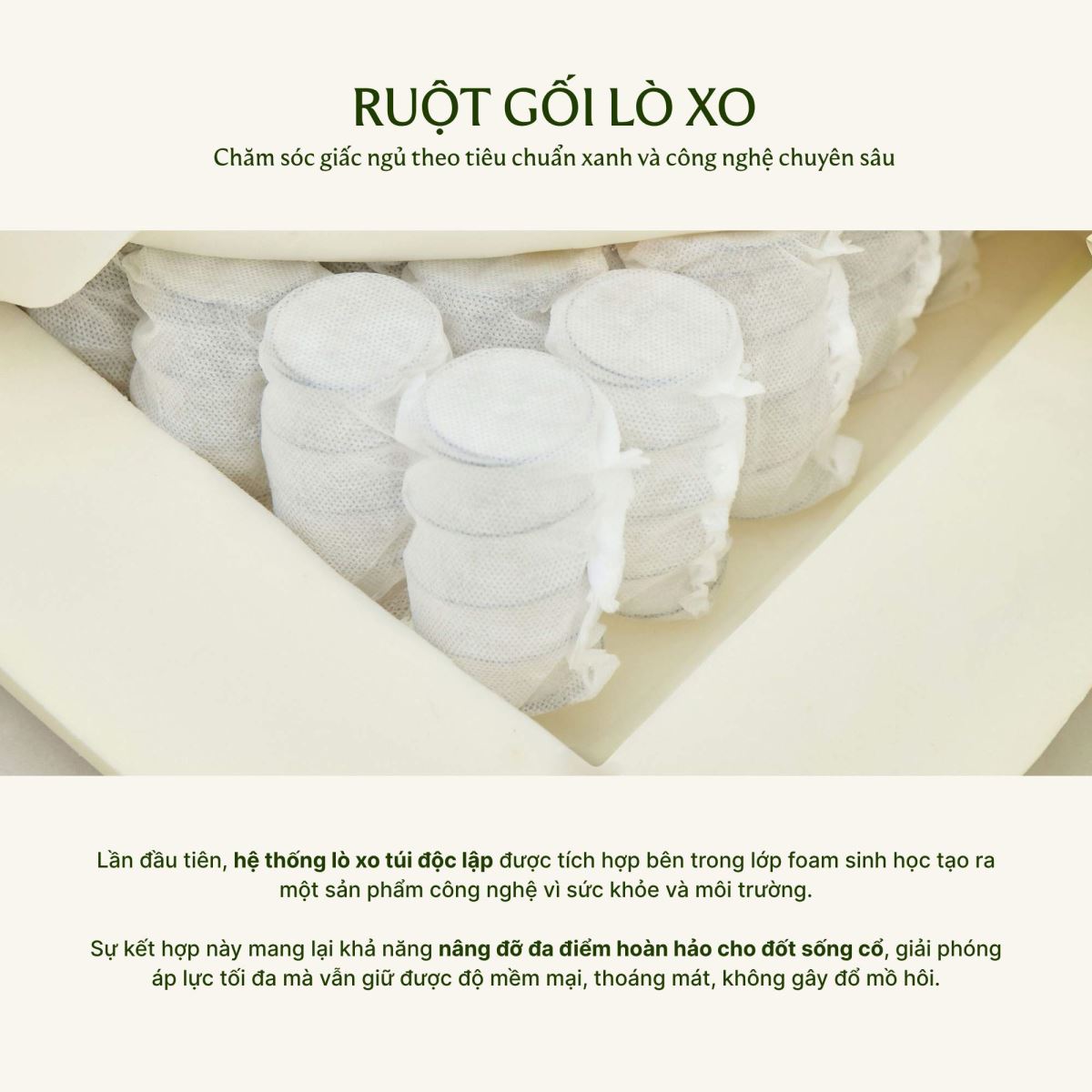 Ruột gối lò xo Everon