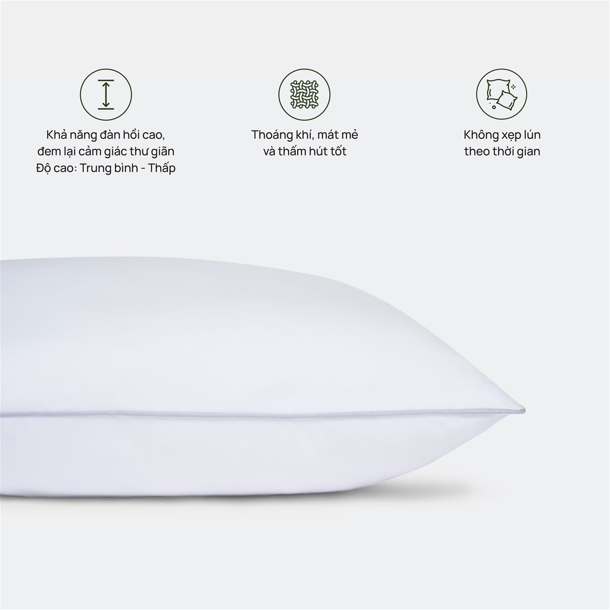 Ruột Gối Everon Original Low