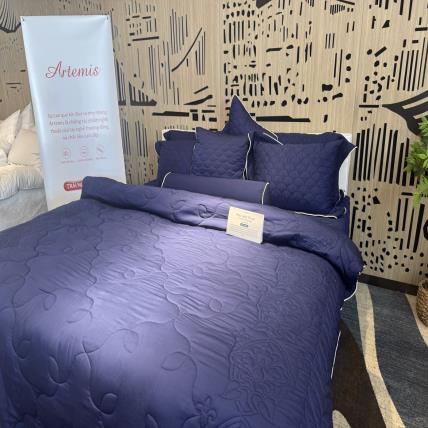 Bộ Chăn Ga Artemis ASM 26102