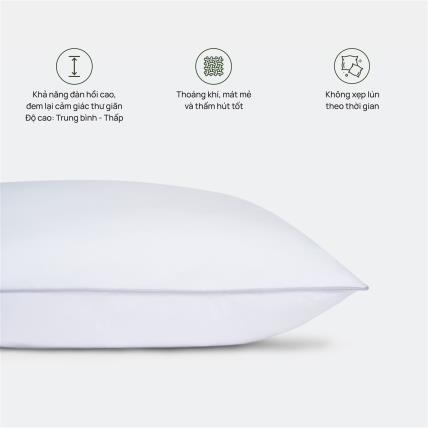 Ruột Gối Everon Original Low