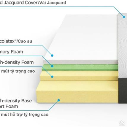Foam Hữu Cơ – Xu Hướng Đệm Xanh An Toàn & Bảo Vệ Sức Khỏe