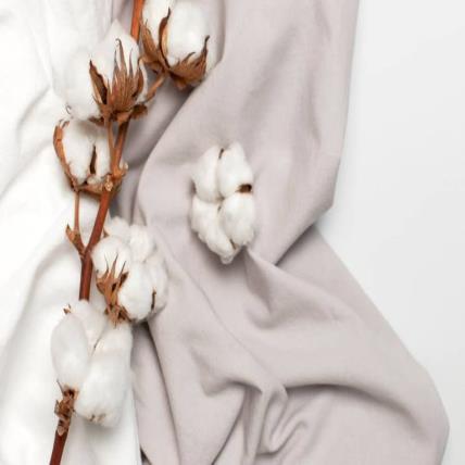 Cotton Hữu Cơ (Organic Cotton): Xu Hướng Tiêu Dùng Bền Vững Hiện Đại