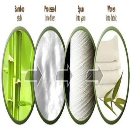 Vì Sao Người Tiêu Dùng Hiện Đại Lựa Chọn Bamboo Cho Phong Cách Sống Bền Vững?